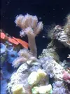 [TodoMarino.com] Acuario Berritzo