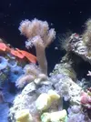 [TodoMarino.com] Acuario Berritzo
