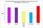 [TodoMarino.com] Actividad fotosintética bajo diferentes espectros de luz led.