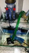 [TodoMarino.com] Ayuda Skimmer!