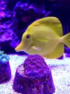 [TodoMarino.com] El acuario de Juancar