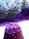 [TodoMarino.com] El acuario de Juancar