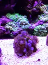 [TodoMarino.com] El acuario de Juancar