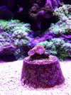 [TodoMarino.com] El acuario de Juancar