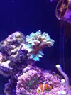[TodoMarino.com] El acuario de Juancar