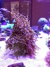 [TodoMarino.com] El acuario de Juancar