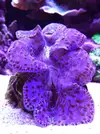 [TodoMarino.com] El acuario de Juancar