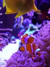 [TodoMarino.com] El acuario de Juancar