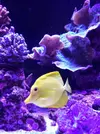 [TodoMarino.com] El acuario de Juancar