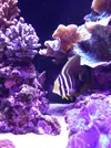 [TodoMarino.com] El acuario de Juancar