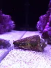 [TodoMarino.com] El acuario de Juancar