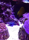 [TodoMarino.com] El acuario de Juancar