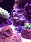 [TodoMarino.com] El acuario de Juancar