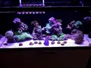 [TodoMarino.com] El acuario de Juancar