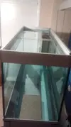 [TodoMarino.com] Urna y mesa, Skimmer, Reactor calcio y Pantalla Zenit II - Cerdanyola del V.- BCN