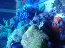 [TodoMarino.com] fotos desde arriba.