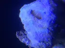 [TodoMarino.com] Proyecto 720L