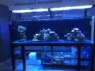 [TodoMarino.com] Proyecto 720L