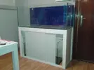 [TodoMarino.com] Mi nuevo acuario 325l.