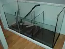 [TodoMarino.com] Mi nuevo acuario 325l.