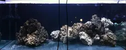 [TodoMarino.com] Un trozo de oceano