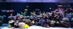 [TodoMarino.com] Un trozo de oceano