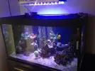 [TodoMarino.com] fabricacion de pantalla led