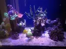 [TodoMarino.com] fabricacion de pantalla led