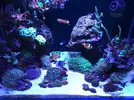 [TodoMarino.com] Proyecto 720L
