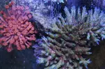[TodoMarino.com] Un trozo de oceano