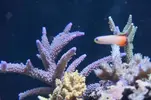 [TodoMarino.com] Un trozo de oceano