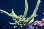[TodoMarino.com] Un trozo de oceano