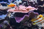[TodoMarino.com] Un trozo de oceano