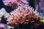 [TodoMarino.com] Un trozo de oceano