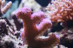 [TodoMarino.com] Un trozo de oceano