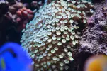 [TodoMarino.com] Un trozo de oceano