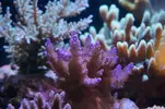 [TodoMarino.com] Un trozo de oceano