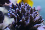 [TodoMarino.com] Un trozo de oceano