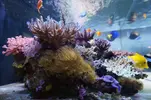 [TodoMarino.com] Un trozo de oceano