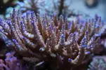 [TodoMarino.com] Un trozo de oceano