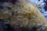 [TodoMarino.com] Un trozo de oceano