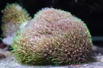[TodoMarino.com] Un trozo de oceano