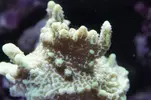 [TodoMarino.com] Un trozo de oceano
