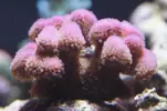 [TodoMarino.com] Un trozo de oceano