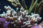 [TodoMarino.com] Un trozo de oceano
