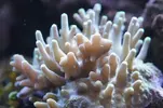[TodoMarino.com] Un trozo de oceano