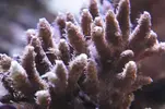 [TodoMarino.com] Un trozo de oceano