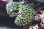 [TodoMarino.com] Un trozo de oceano