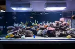 [TodoMarino.com] Un trozo de oceano