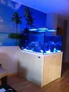 [TodoMarino.com] Poner aquí la foto de vuestro acuario...